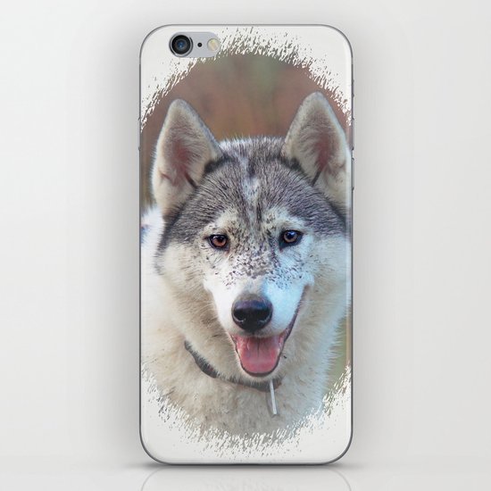 Husky iPhone Skin