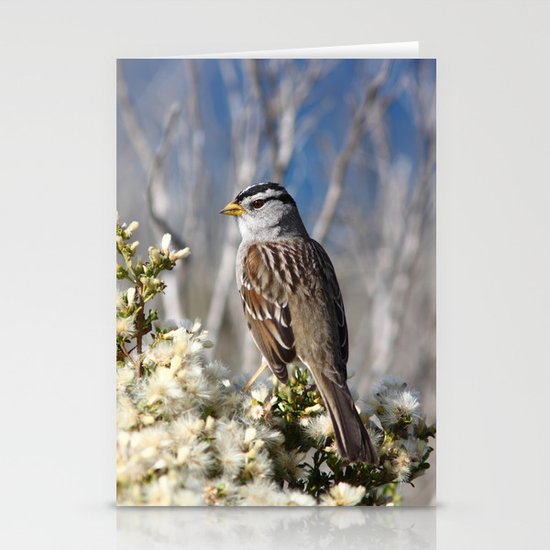 White-crowned Sparrow Stationery Cards