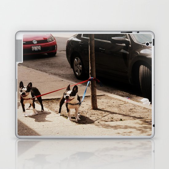 Boston Terriers ~ amped up for action! Laptop & iPad Skin