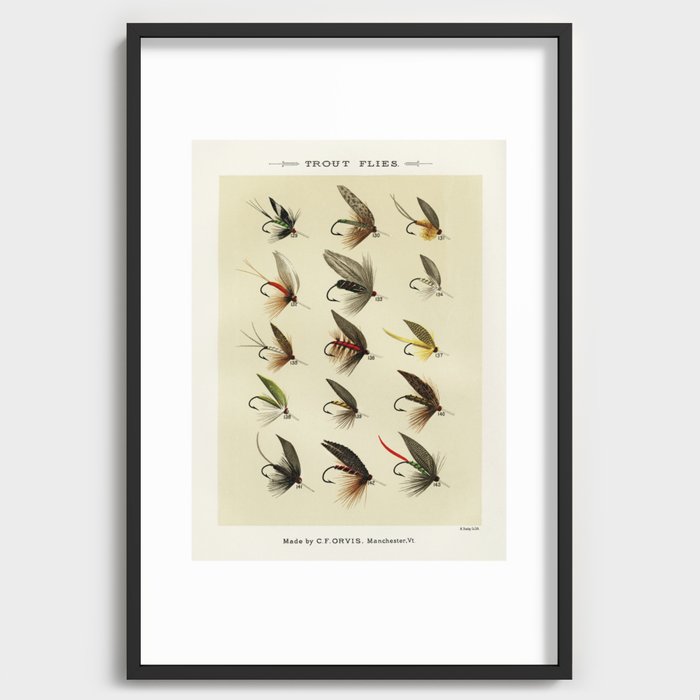 Vintage Fly Fishing Print - Trout Flies Recessed Framed Print by SFT