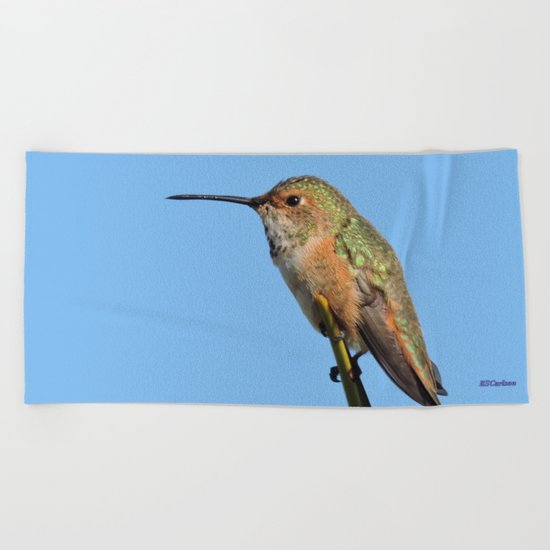 Grasping the Point Beach Towel