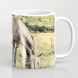 Arabian purebred grey young horse pasture in the countryside at golden hour Mug