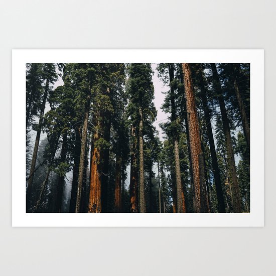 Woods #fog Art Print