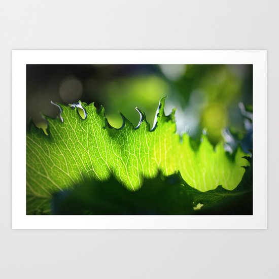 new beginning Art Print