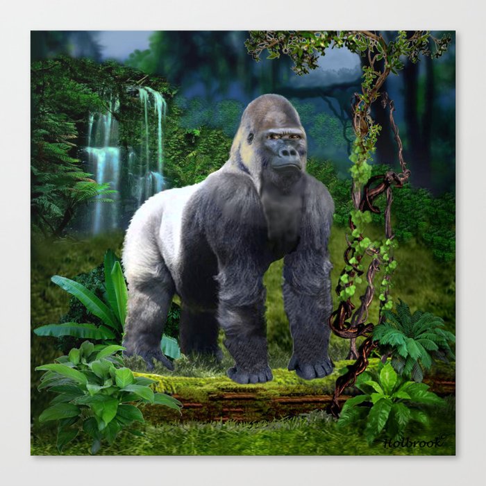 Silverback Gorilla Guardian of the Rainforest Canvas Print