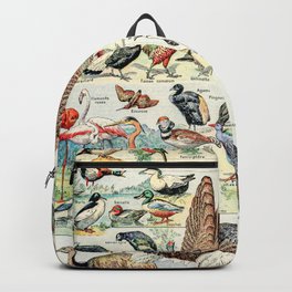 Wild Birds // Oiseaux by Adolphe Millot XL 19th Century Science Textbook Diagram Artwork Backpack | Drawing, Farmhouse Cottage, An Abstract Biology, Flamingo Peacock, Scientific Graphic, Aesthetic Of Country, Trendy Decor Vibes, Photo Picture Tribal, Cottagecore Core, Painting Paintings 