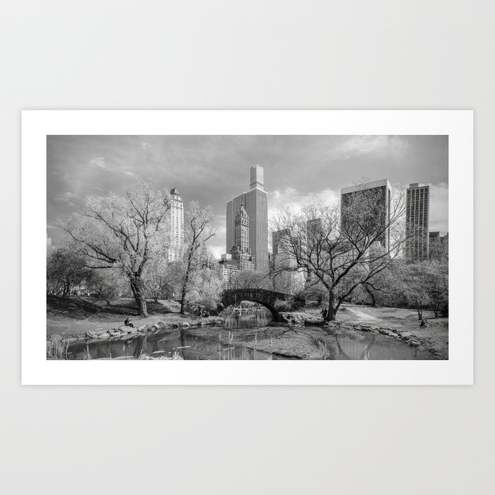 Central Park in Spring Art Print