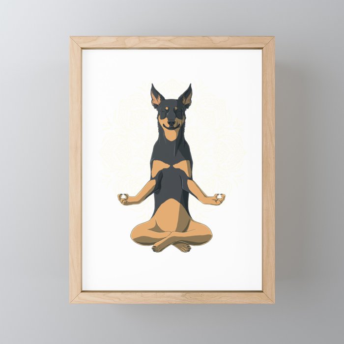 Mini kelpie discount