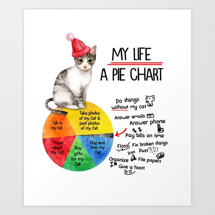 Rex My Chart