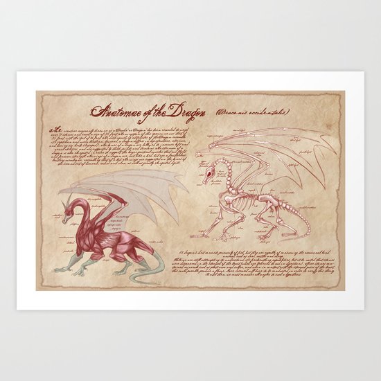 Anatomy of the Dragon Art Print