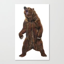 Grizzly Bear - Painting in acrylic Canvas Print