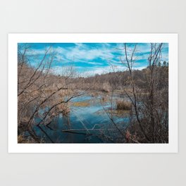 Winter Days Art Print | Lake, Bluesky, Color, Digital, Nikon, Photo, Winter, Blue, Trees, Water 
