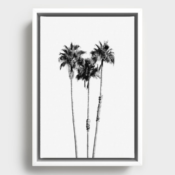 Palm Trees Black & White Vibes #7 #wall #decor #art #society6 Framed Canvas