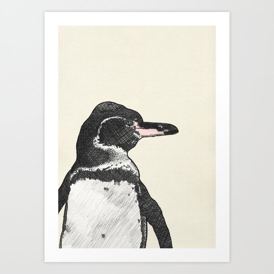 Galapagos Pengin Art Print