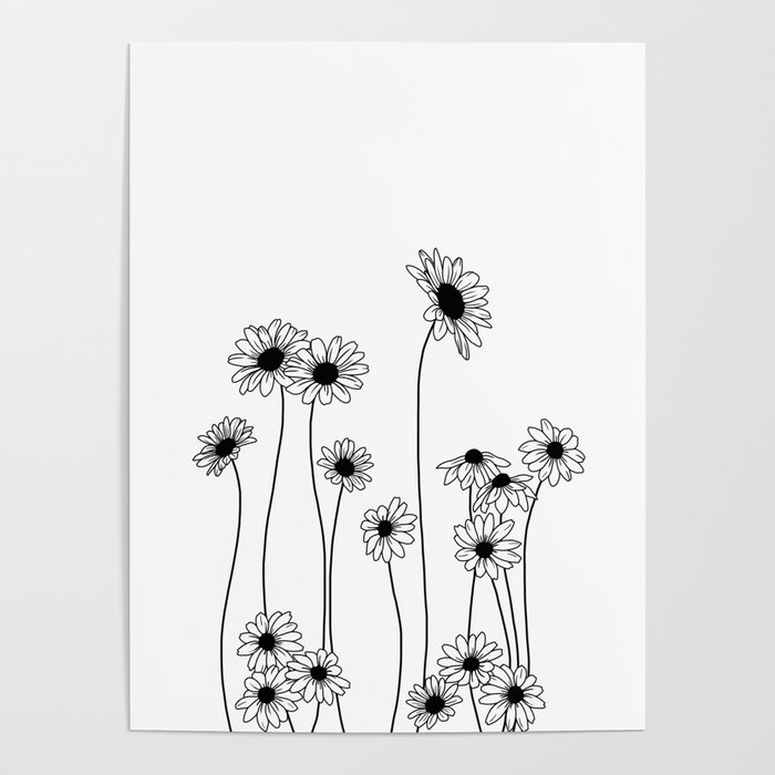 Minimal line drawing of daisy flowers Poster