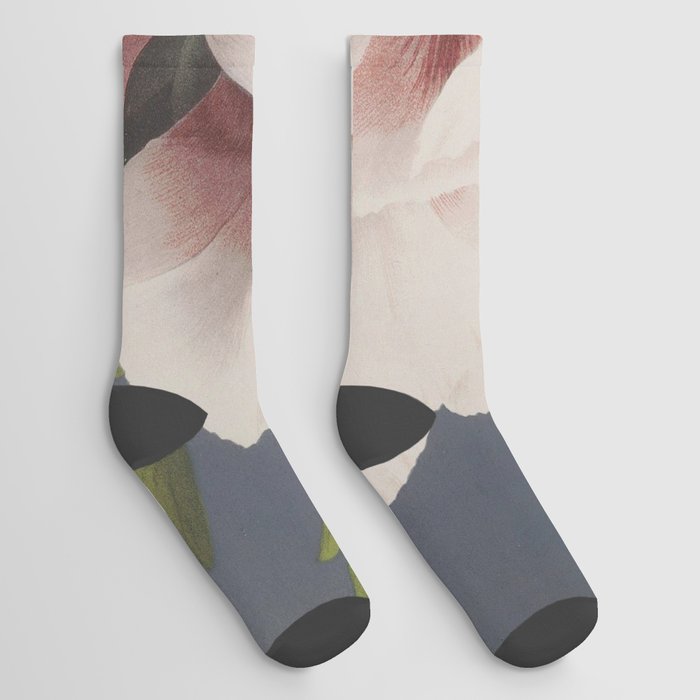 Beautiful Photomechanical Prints of Flower  Socks