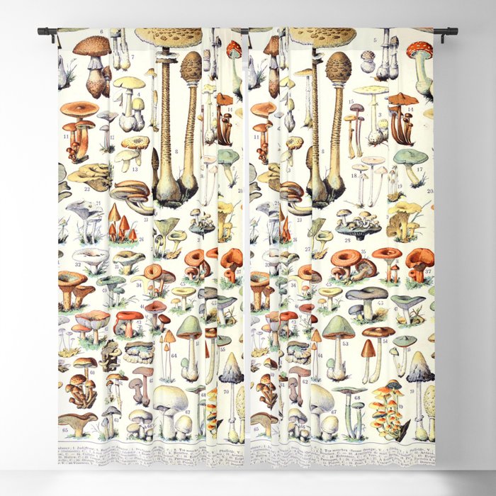 Adolphe Millot - Champignons B - French vintage poster Blackout Curtain