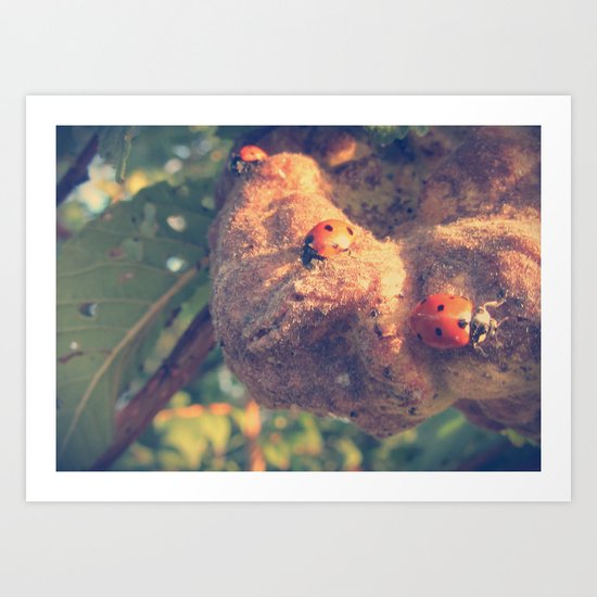 Three Ladybirds Art Print