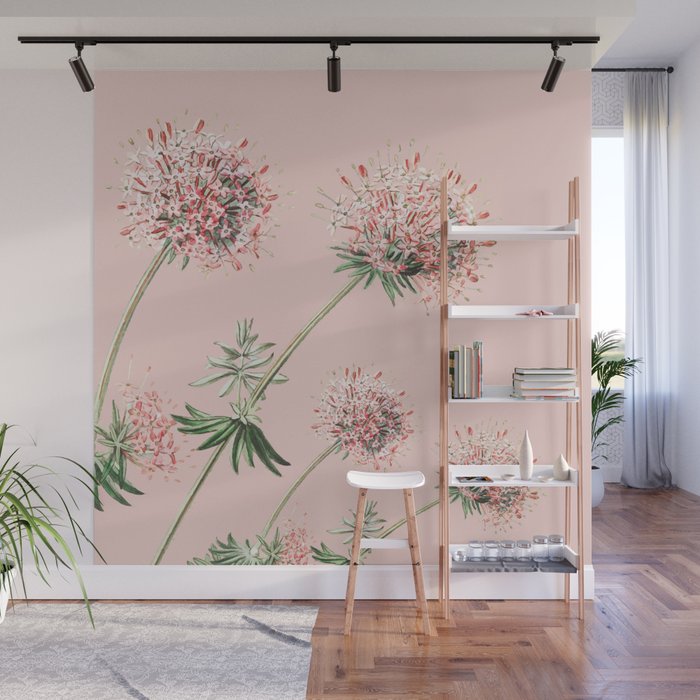 Rose caucasian crosswort flower Wall Mural