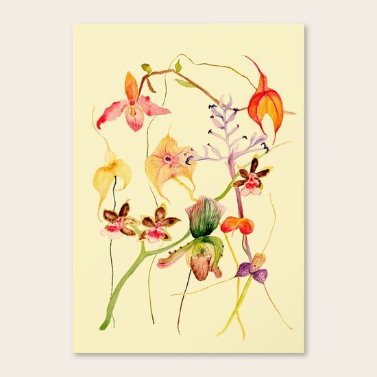 Orchids Canvas Print