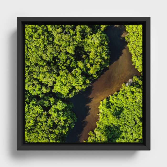 Brazil Photography - River Going Through The Rain Forest Framed Canvas
