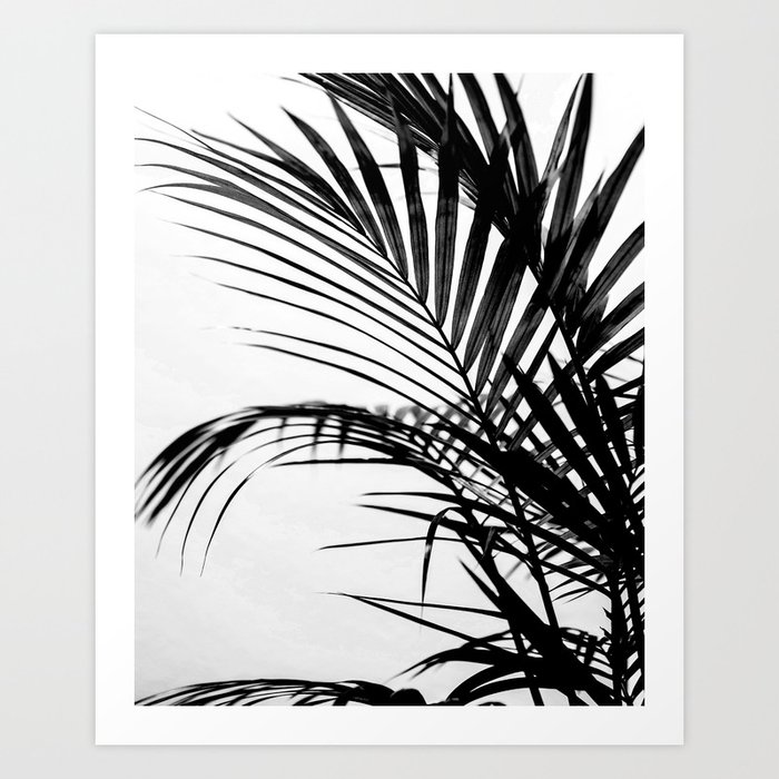 Palm leaves paradise in black Art Print