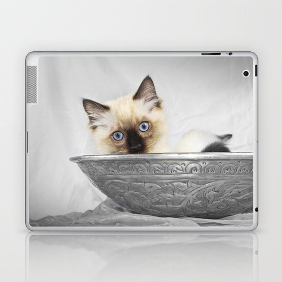 caT Laptop & iPad Skin