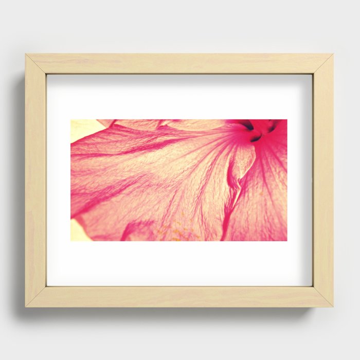 hibiscus fade Recessed Framed Print