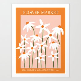 Flower Market - Echinacea #1 Art Print