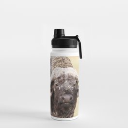 Buffer Buffalo Water Bottle