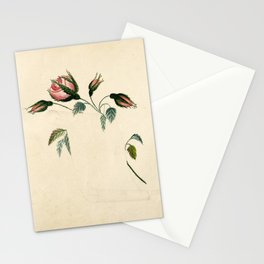 Flowers and scroll, 1833 Stationery Card