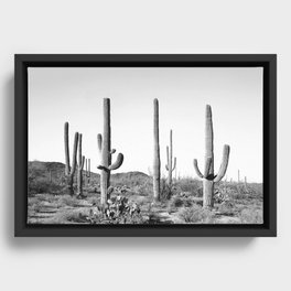 Grey Cactus Land Framed Canvas