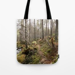 Enchanted Nature Walk in the Scottish Highlands  Tote Bag