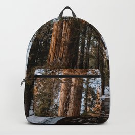 Walking Sequoia 5 Backpack
