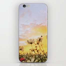 fuuny vintage Flower art deesign Evening flowering plant with sunset iPhone Skin