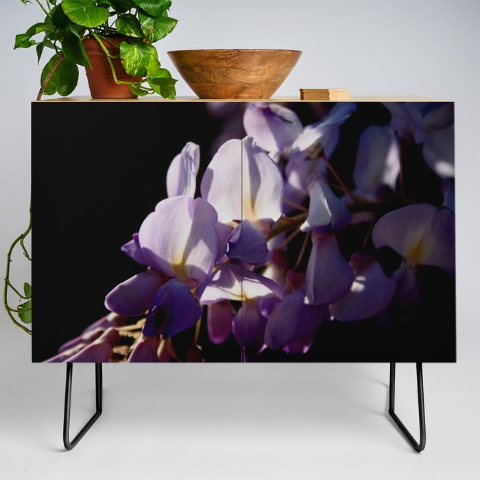 Wisteria Vine Flower Blurred Background With Black Credenza