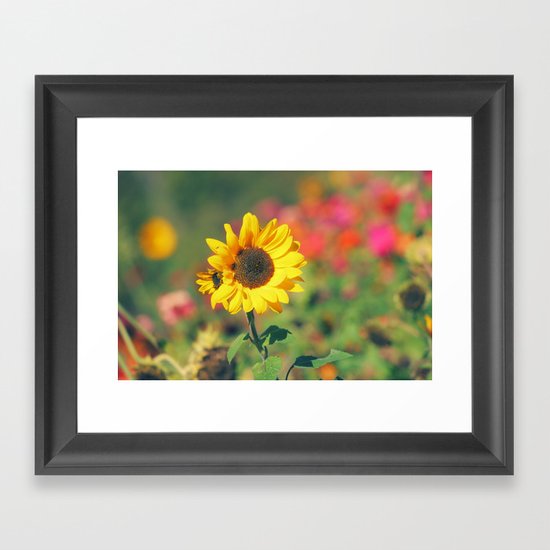 Bursting with Cheer Framed Art Print