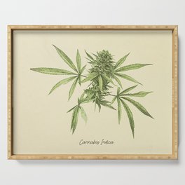 Vintage botanical print - Cannabis Serving Tray