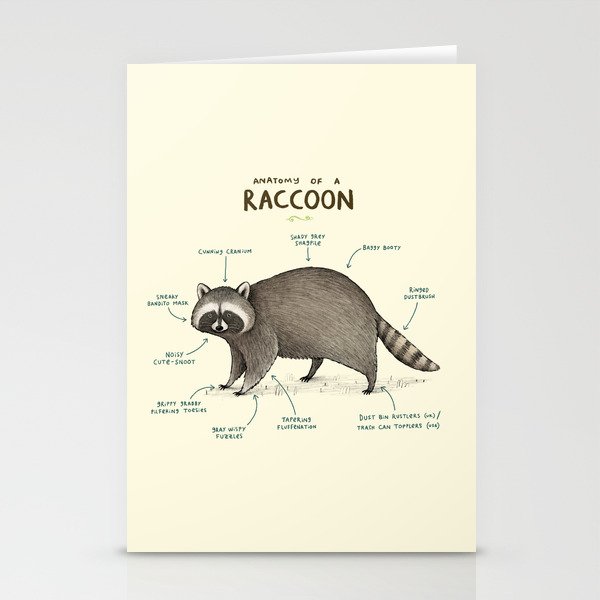 Anatomy of a Raccoon Stationery Cards