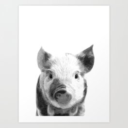Black and white pig portrait Art Print