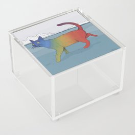 Rainbow cat Acrylic Box