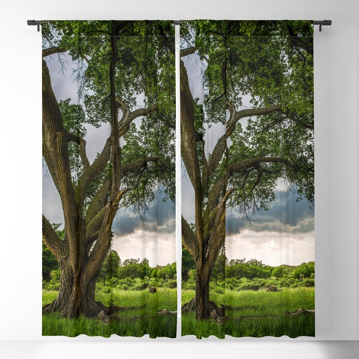 Big Tree - Tall Cottonwood and Passing Storm in Texas Blackout Curtain
