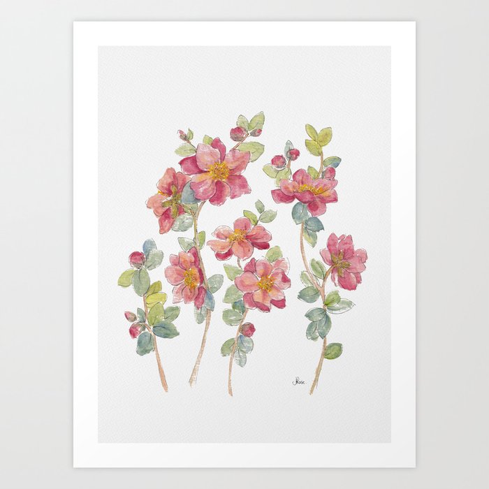 Coral Pink Camellia Flowers  Art Print