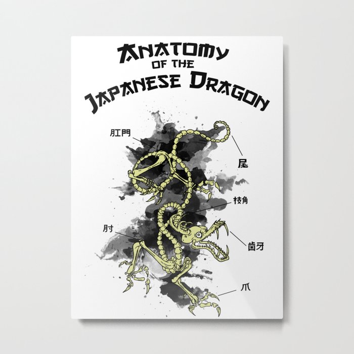 Anatomy of the Japanese Dragon Metal Print