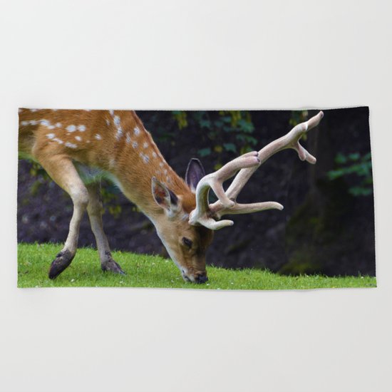 Fallow Deer Beach Towel