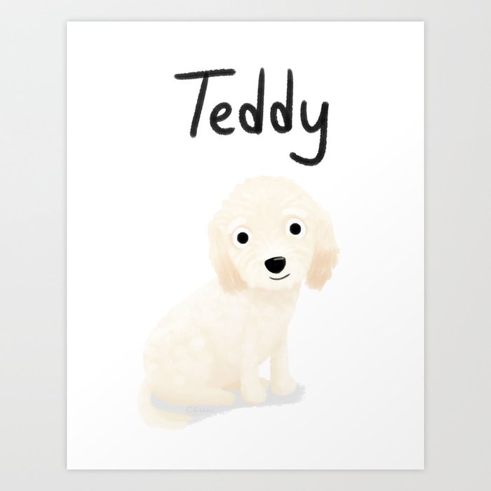 custom dog teddy