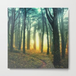 Radiant Forest Metal Print | Photo, Landscape, Nature 