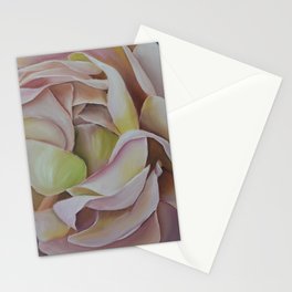 Ranunculus Stationery Cards