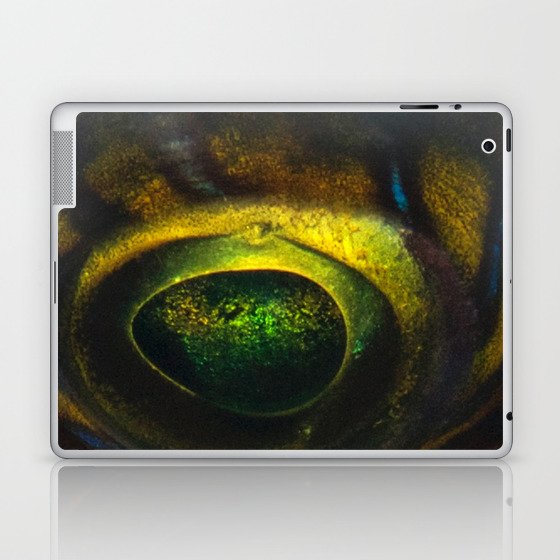 Magic Fish Eye Laptop & iPad Skin