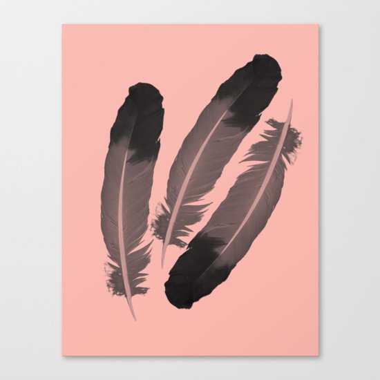 Pink & Feather Canvas Print